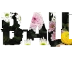 Font Indah dengan Berbagai Latar PNG