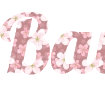 Buat tulisan indah dengan latar bunga sakura - font Lobster png